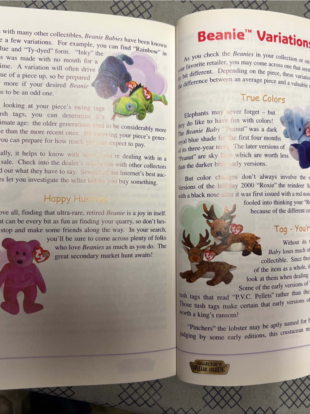 Ty Table of Contents Page with Purple Accent and Multicolor Illustrations - Picture 7 of 8